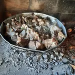 Bujtina Lugina E Vjoses