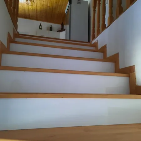 Bujtina Lugina E Vjoses Permet