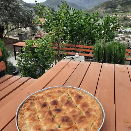 Bujtina Lugina E Vjoses Lodge