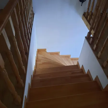 Bujtina Lugina E Vjoses 山林小屋