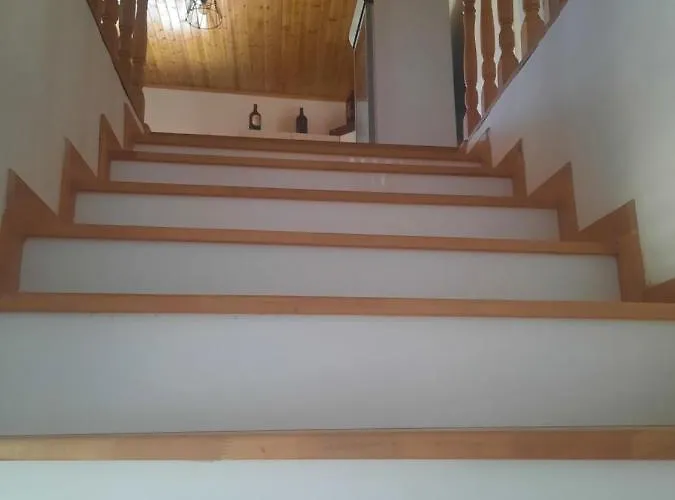 Bujtina Lugina E Vjoses Lodge Permet