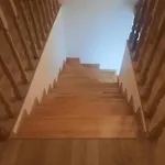 Bujtina Lugina E Vjoses *