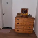 Bujtina Lugina E Vjoses