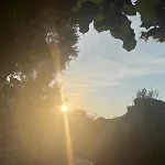 Bujtina Lugina E Vjoses Orman Evi