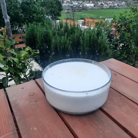 Chata Bujtina Lugina E Vjoses