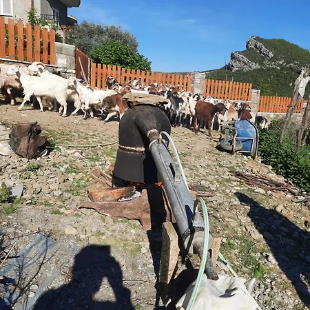 Bujtina Lugina E Vjoses