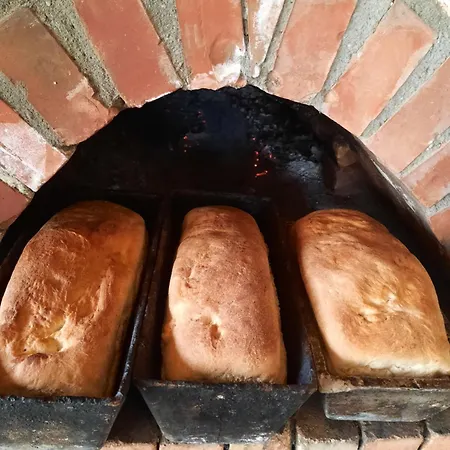 Bujtina Lugina E Vjoses 롯지 *