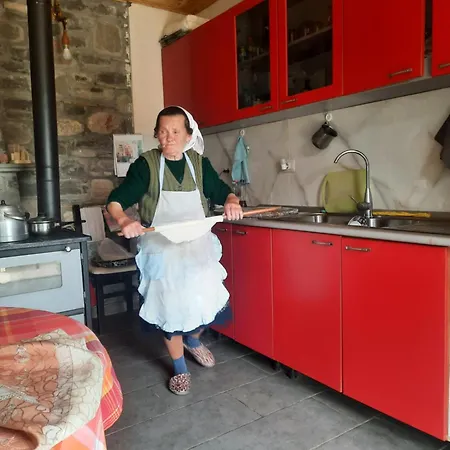 Orman Evi Bujtina Lugina E Vjoses Përmet