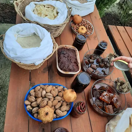 Bujtina Lugina E Vjoses *