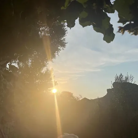 Bujtina Lugina E Vjoses Chata