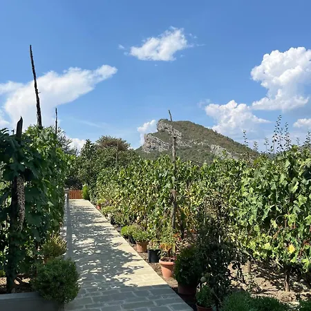 Bujtina Lugina E Vjoses * Përmet