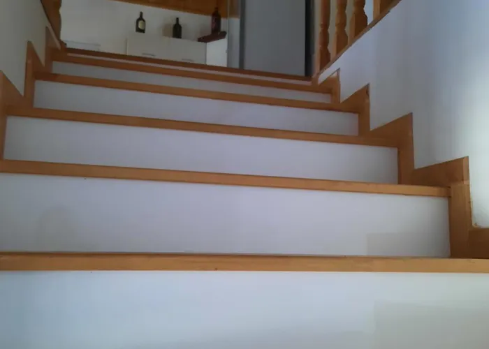 Bujtina Lugina E Vjoses Përmet