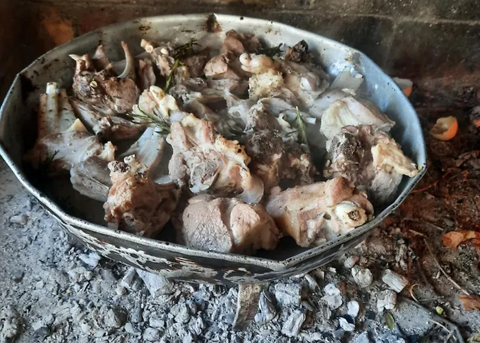 Bujtina Lugina E Vjoses