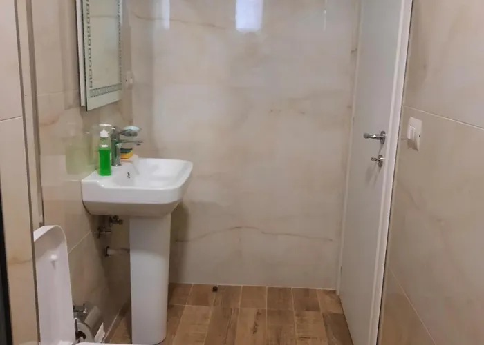 Bujtina Lugina E Vjoses 山林小屋 *