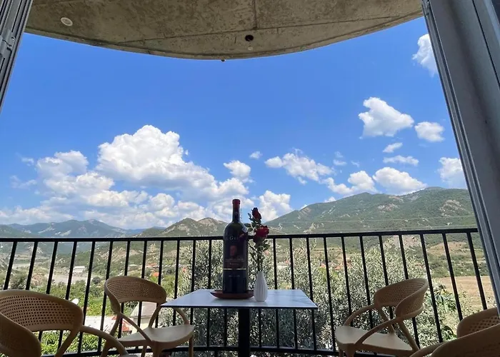 Bujtina Lugina E Vjoses 山林小屋 *